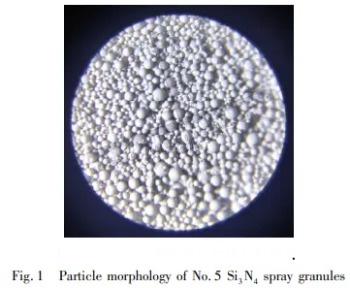 Fig. 1 Particle morphology of No.5 Si3N4 spray granules