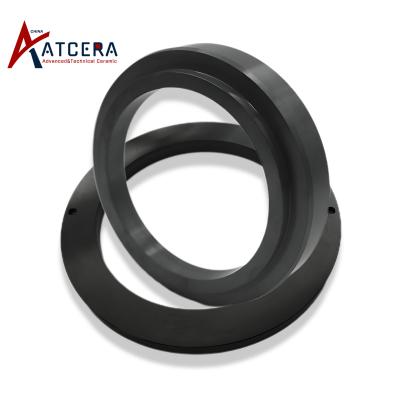 Silicon nitride sealing ring